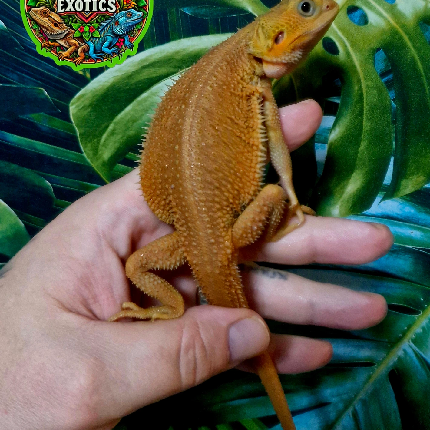 20251114102011.649-1000544890-1420x1420h